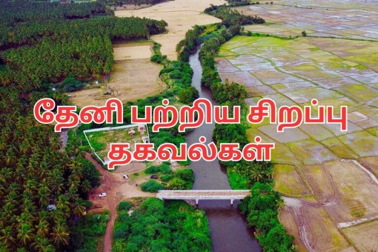 தேனி பற்றிய சிறப்பு தகவல்கள்