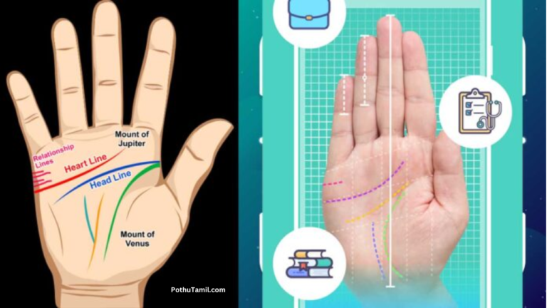 Life Palmistry (Age) App