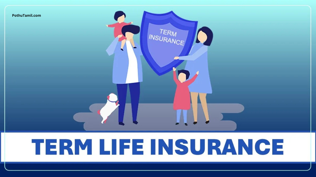 Buy Best Term Insurance Plan & Policy Online in India