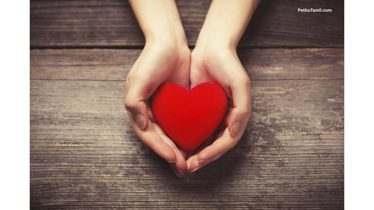 Meaning of Love: What Is True Love and What Does Love Really Mean?